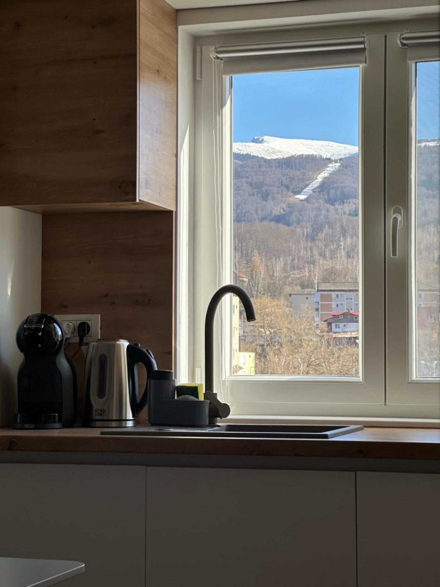 Apartment Straja View