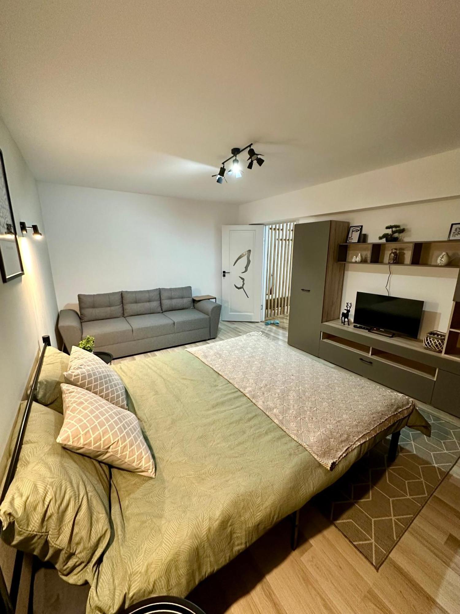 Apartment Straja View Lupeni (Hunedoara)